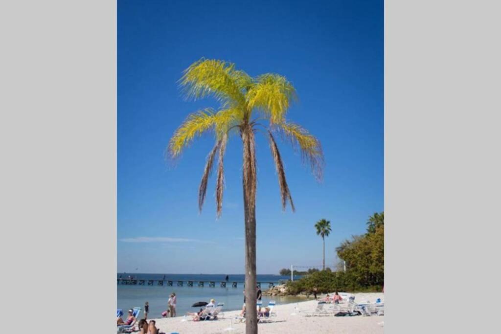 Manatee, Studio202, Beach Steps Away! Pool+Wifi 拉斯金 外观 照片